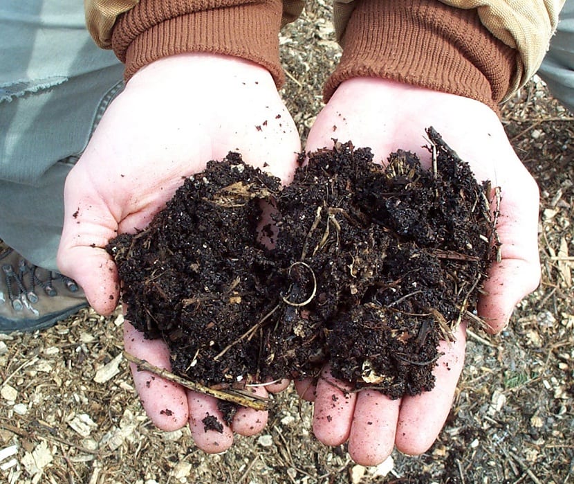Abono para el huerto familiar: compost, estiércol y abono verde