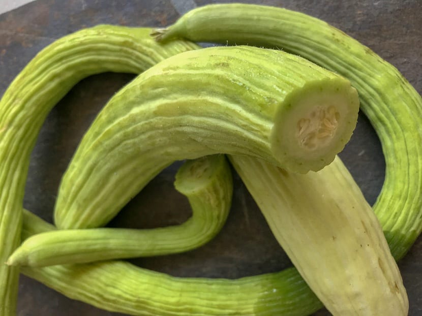 Frutos de alficoz recién recolectados