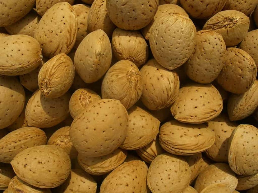 Almendra marcona: variedad, cultivo, polinización y usos