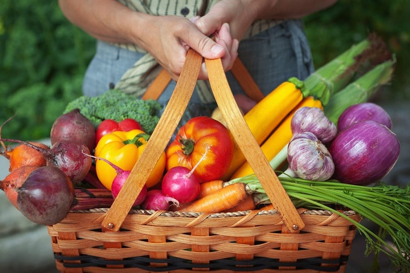 Vegetales: características, tipos y clasificación completa