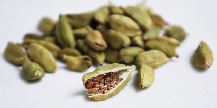 Cardamomo: cultivo en maceta, cuidados y usos culinarios