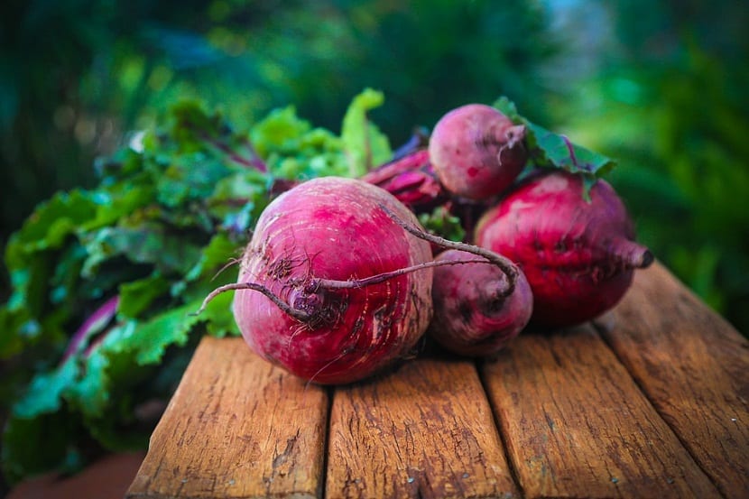 Remolacha recién recogida de la huerta