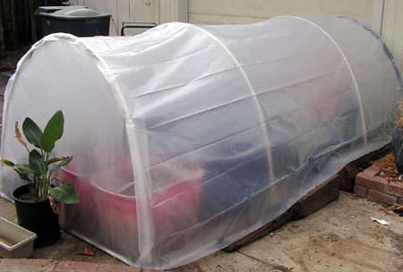Interior de un invernadero de cultivo