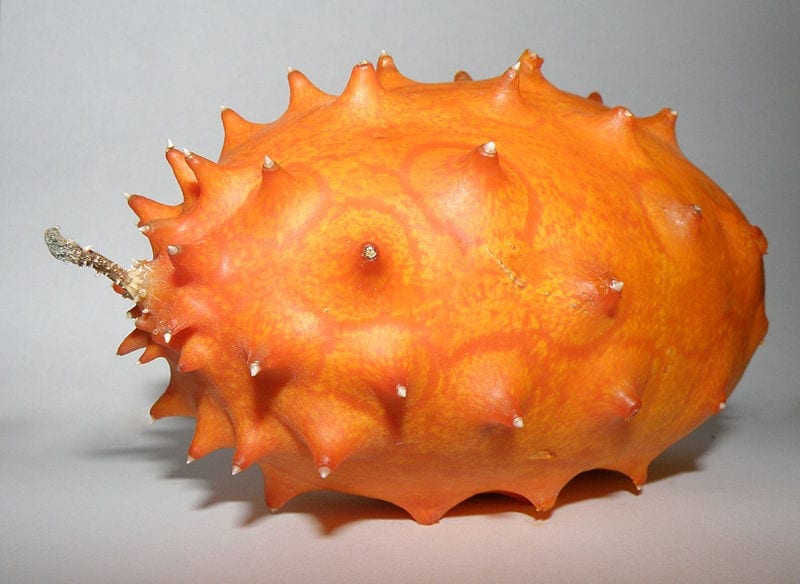 Kiwano (Cucumis metuliferus): cultivo paso a paso