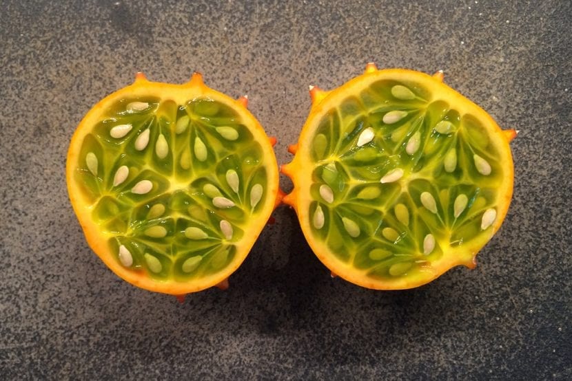 Fruto maduro de kiwano con la corteza naranja cubierta de espinas cortas