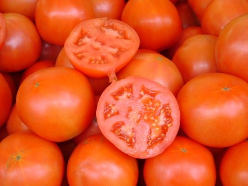 Tomates cultivados en maceta