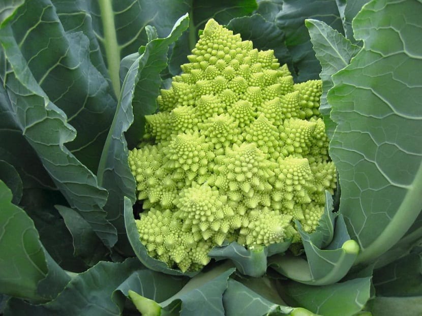 Romanesco: cómo cultivarlo y qué nutrientes aporta