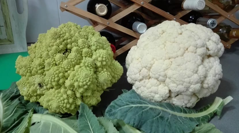Comparación entre el romanesco y la coliflor