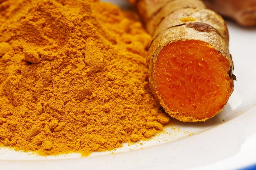 Mata de cúrcuma con sus hojas grandes y lanceoladas