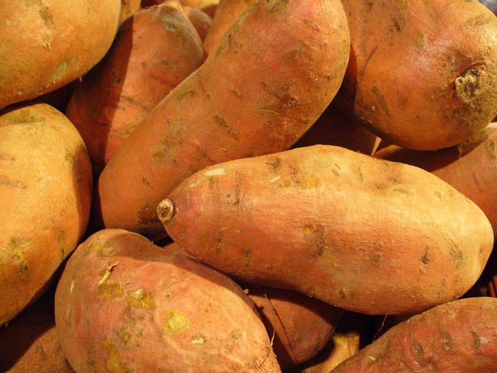 Boniato y batata: por qué son en realidad la misma planta