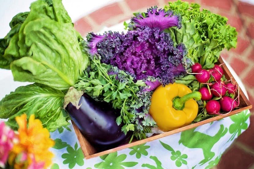 Verduras y hortalizas: en qué se diferencian de verdad