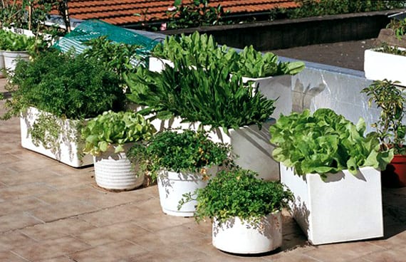 Huerto urbano en macetas en una terraza