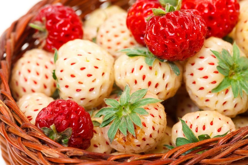 Fresas blancas y fresas rojas en una cesta