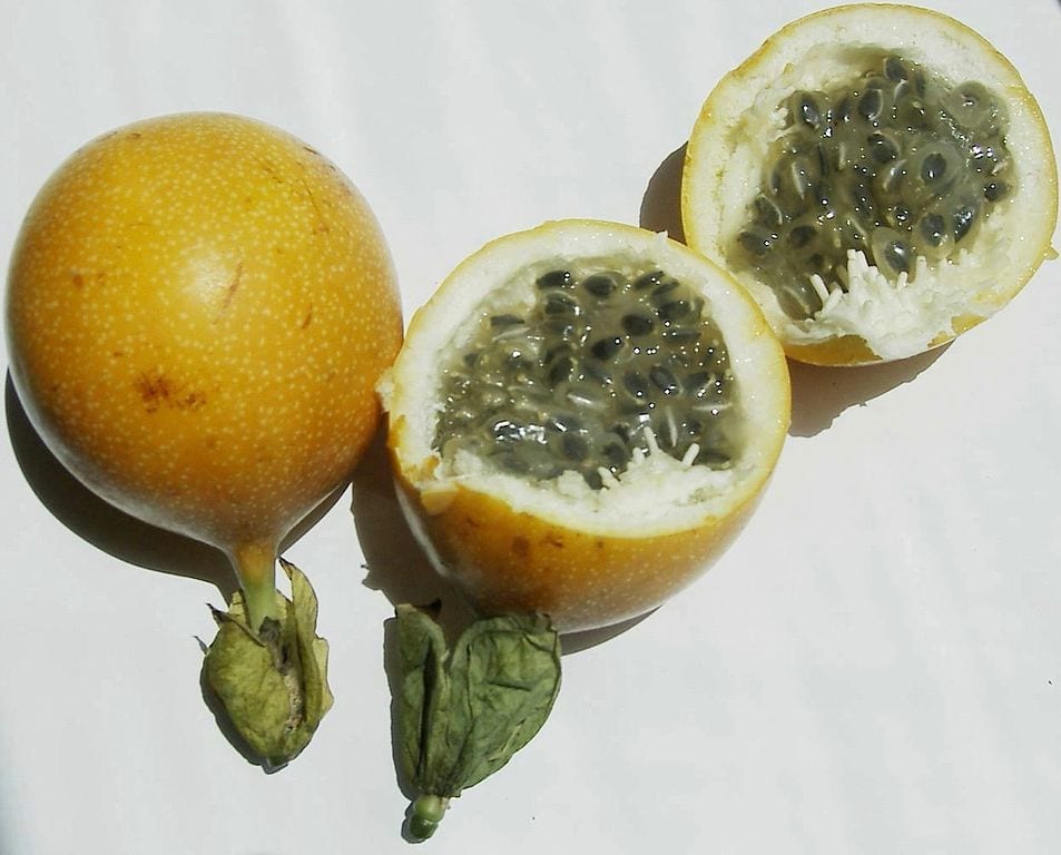 Granada china (Passiflora ligularis): cultivo y cosecha