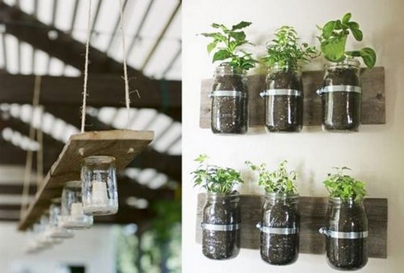 Cultivo en tarros de cristal junto a una ventana