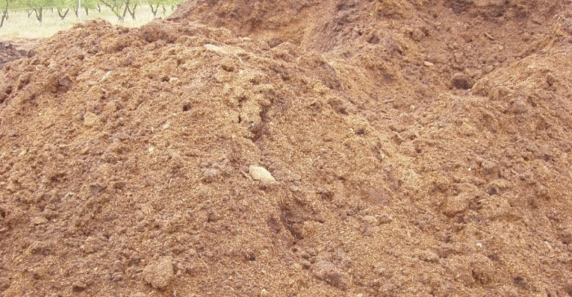 Gallinaza: propiedades, compostaje y dosis en el huerto