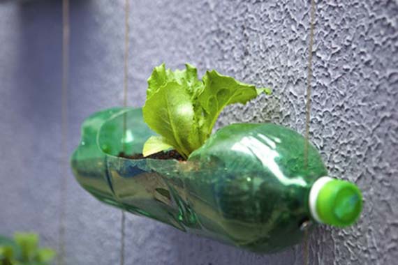 Maceta autorregable fabricada con una botella de plástico