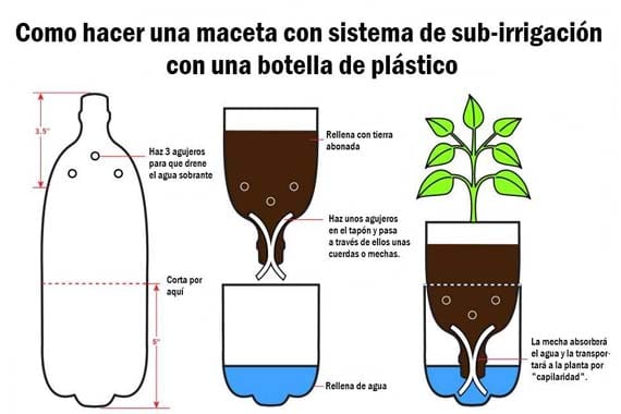Maceta autorregable casera con botella: cómo hacerla