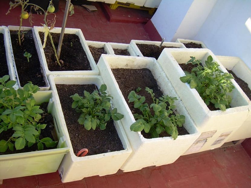 Macetohuerto instalado en una terraza con distintos recipientes de cultivo