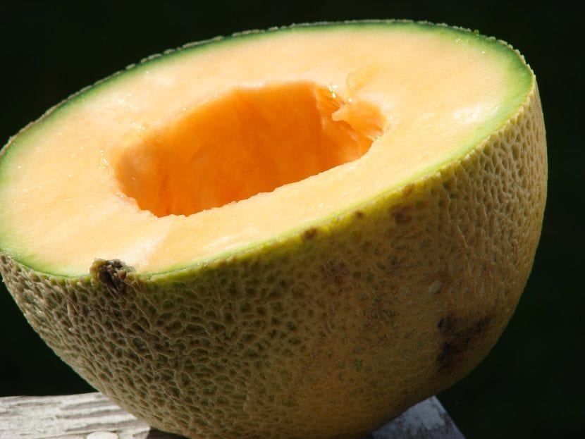 Fruto de melón maduro
