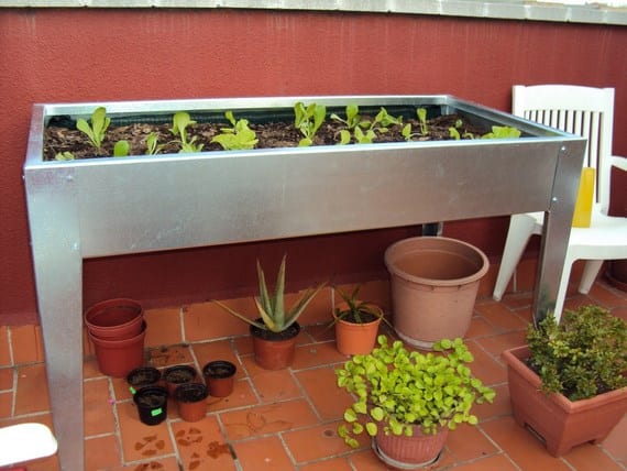 Mesas de cultivo: qué plantar según la profundidad