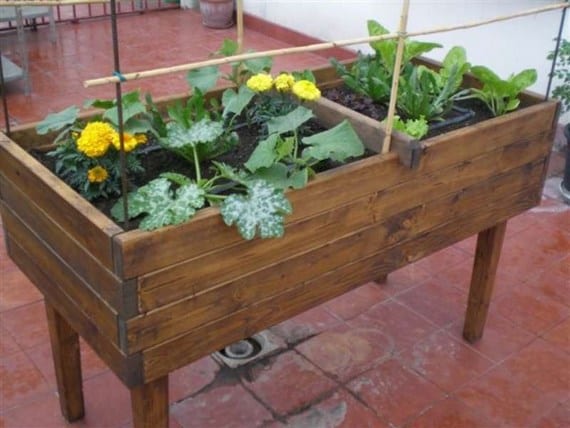 Mesa de cultivo con hortalizas de hoja