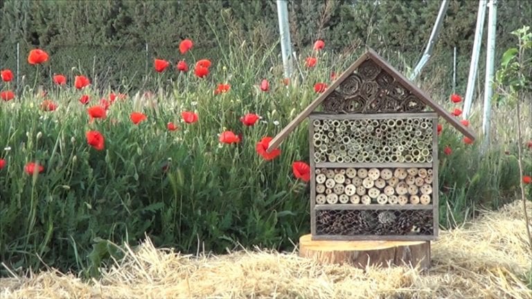 Hotel de insectos de madera con tubos de caña instalado en un huerto