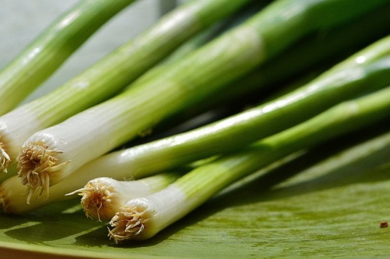 Puerros recién recolectados con su tallo blanco y las hojas verdes