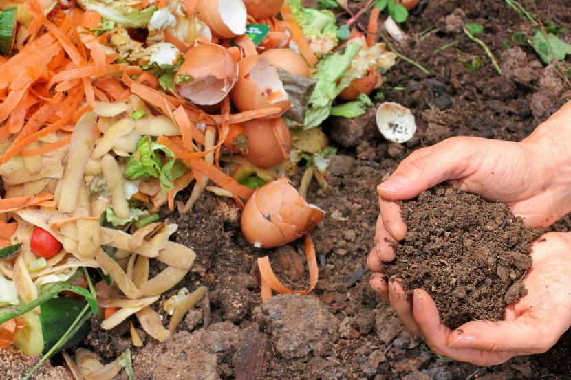 Vermicompostaje doméstico paso a paso con lombriz roja