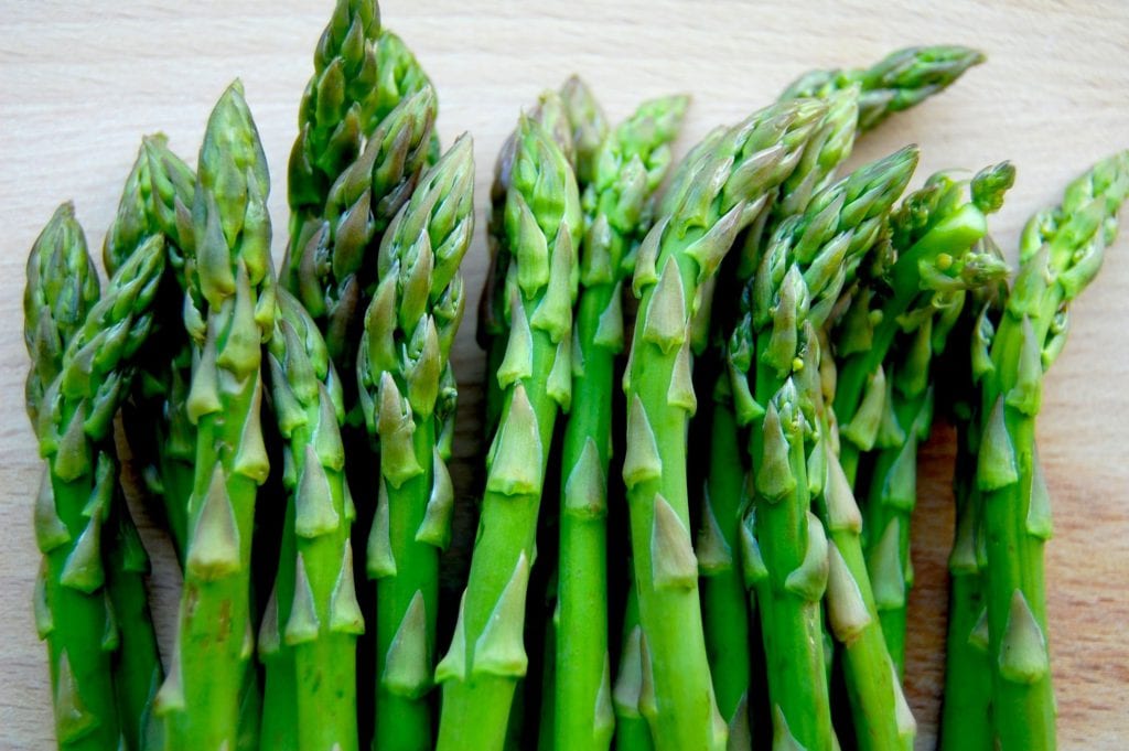 Reproducir la esparraguera: semilla, garras y plantación