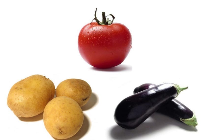 Patata, tomate y berenjena, tres solanáceas de huerto
