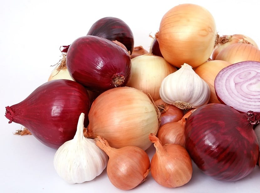 Varias cebollas de distintos tamaños y colores sobre una mesa de madera