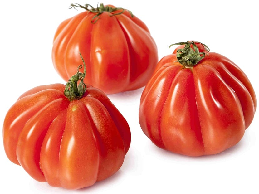 Tomate corazón de buey maduro