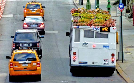 Bus Roots, el jardín en el techo de un autobús urbano
