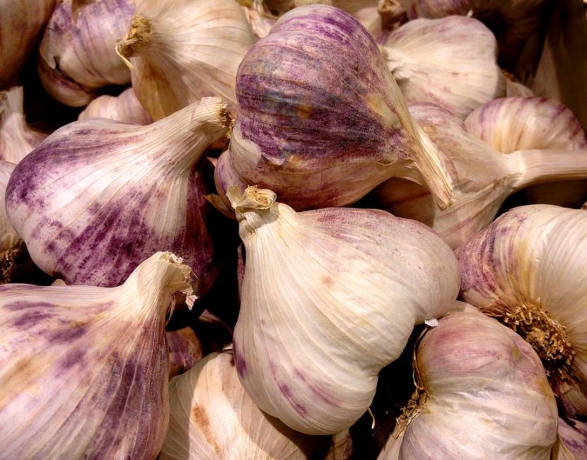 Cabeza de ajo