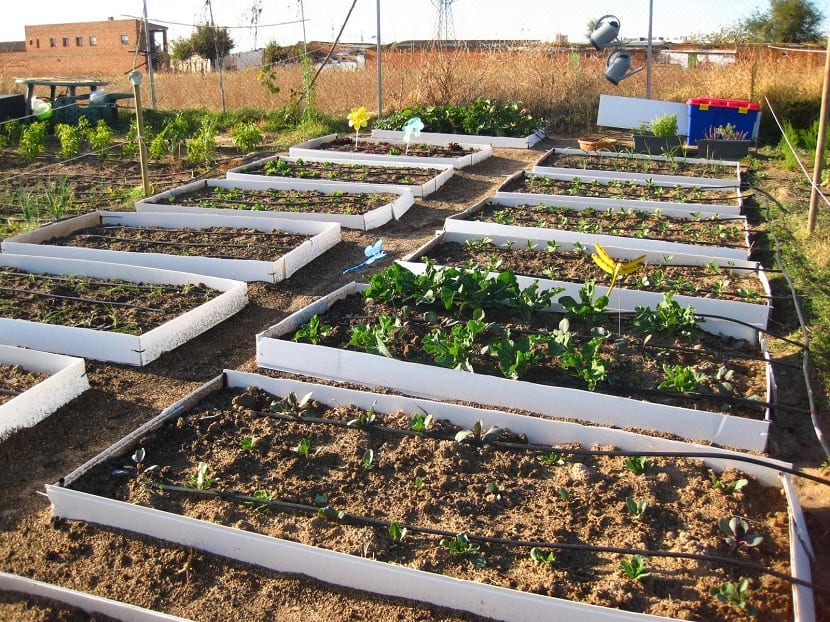 Bancales de madera en un huerto