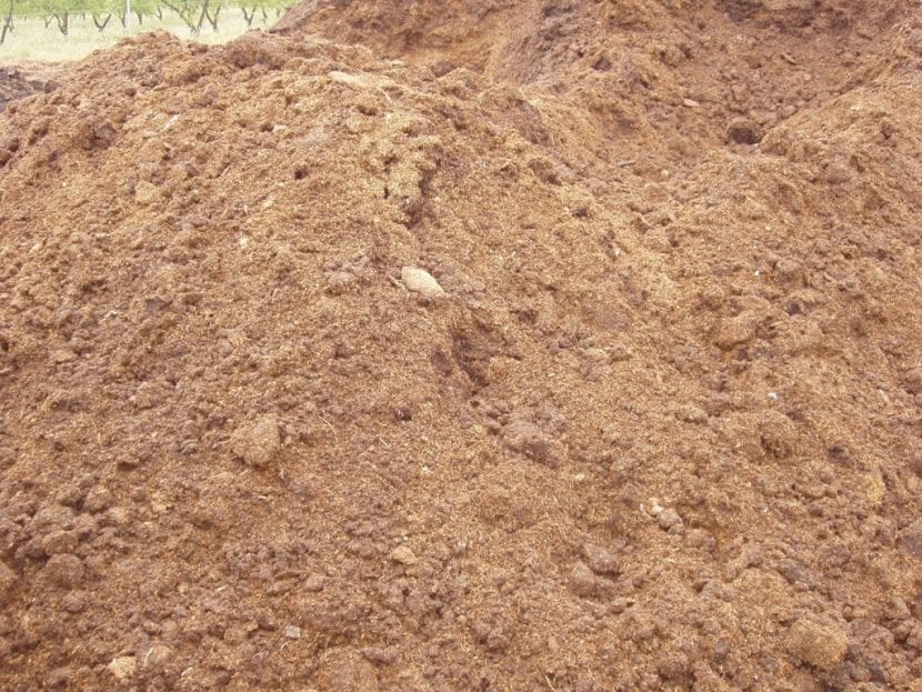 Estiércol de gallina o gallinaza empleado como abono nitrogenado