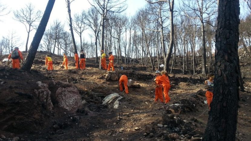 Incendio forestal en la sierra de Tramuntana
