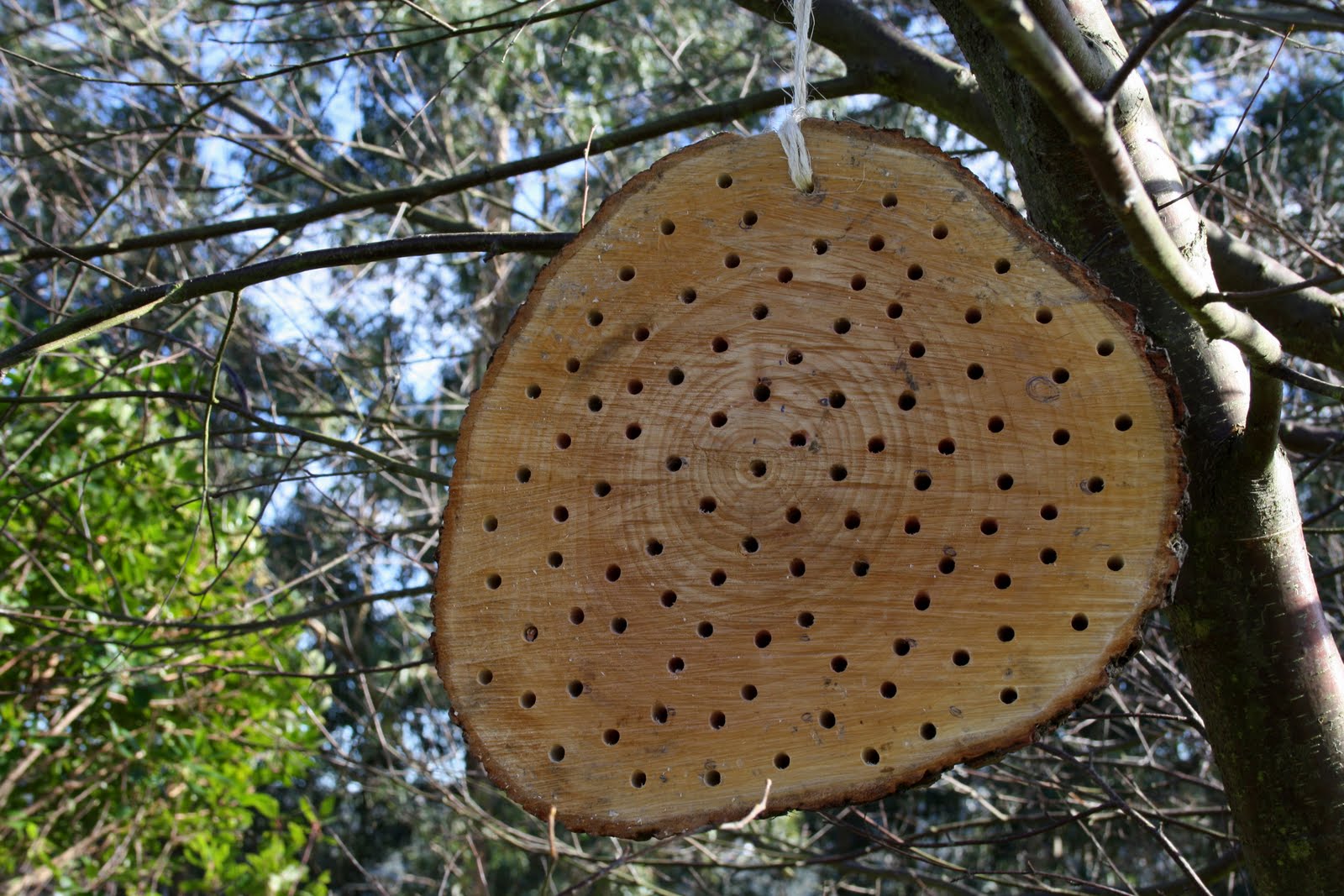 Refugio para abejas solitarias en el huerto