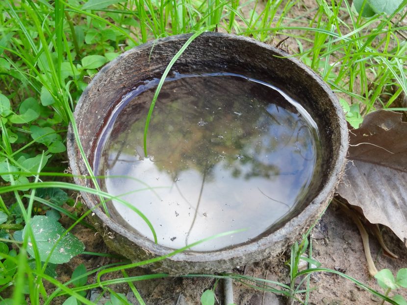 Agua estancada en el jardín, foco habitual de malos olores