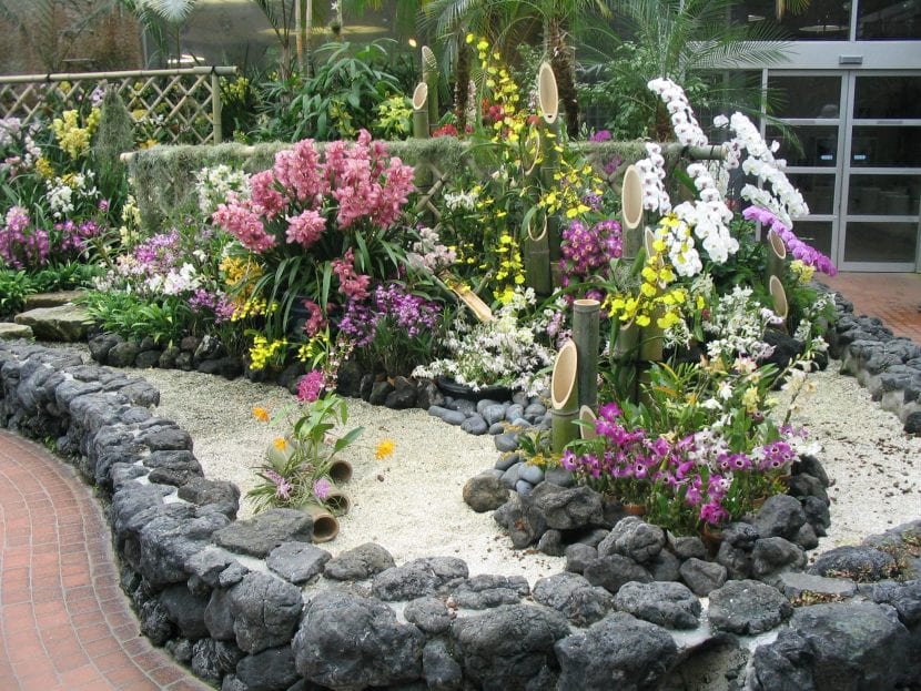 Plantas de rocalla rodeadas de gravilla como acolchado