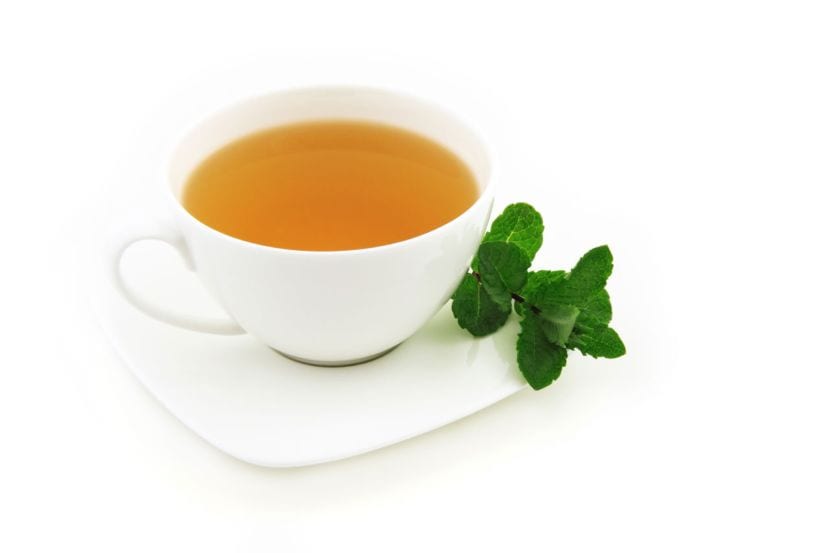 Cultivar y preparar tu propio té: guía práctica