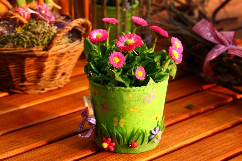Flores de temporada plantadas en macetas de exterior