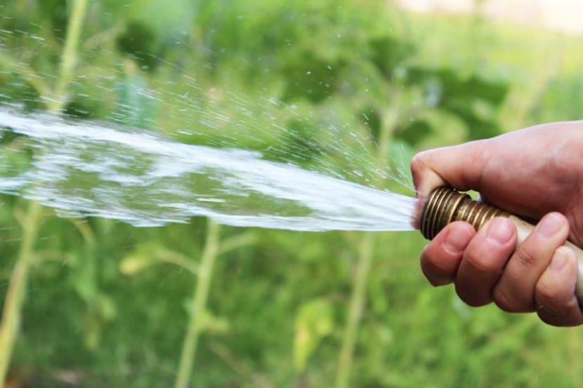 Manguera de jardín enrollada junto a la toma de agua