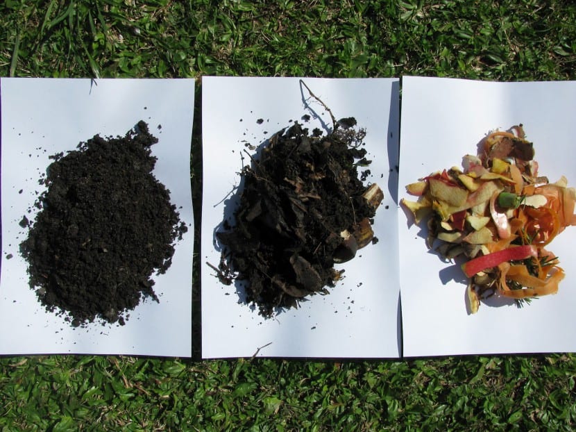Compost orgánico maduro en las manos