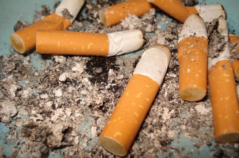 Pesticida de tabaco casero: receta, riesgos y alternativas