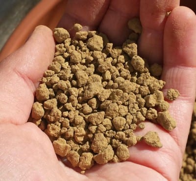 Akadama, sustrato granular de gran porosidad