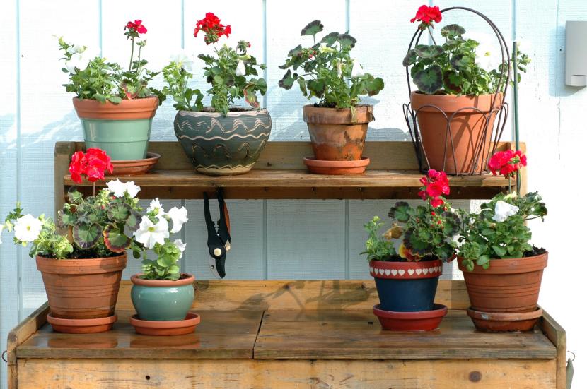 Soporte para plantas: cómo hacerlo paso a paso