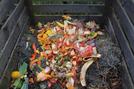 Compostero con materia orgánica en descomposición