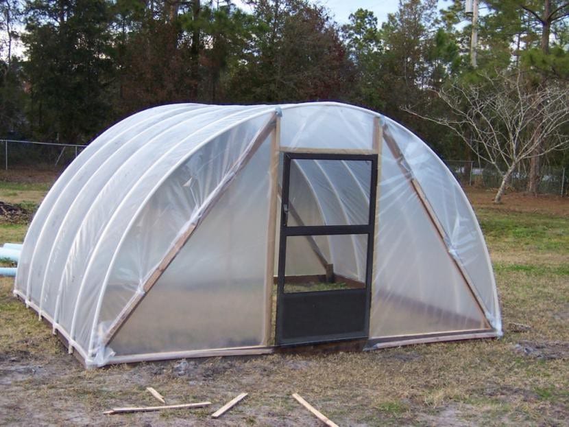 Invernadero doméstico para proteger plantas en invierno